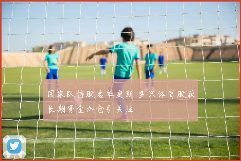 国家队持股名单更新 多只体育股获长期资金加仓引关注