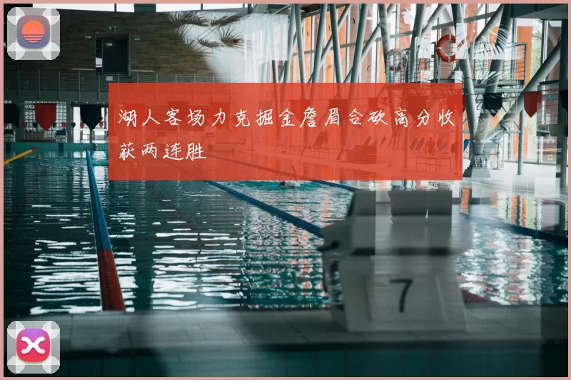 湖人客场力克掘金詹眉合砍高分收获两连胜