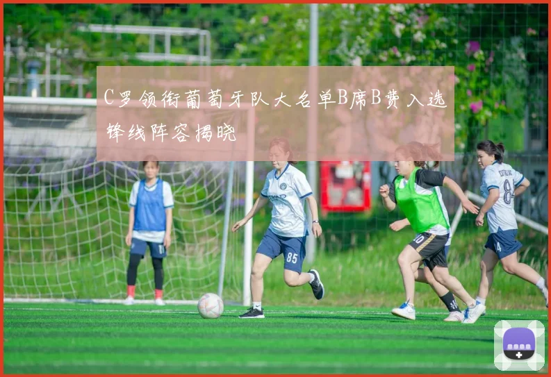 C罗领衔葡萄牙队大名单B席B费入选锋线阵容揭晓
