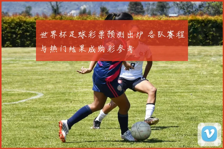 世界杯足球彩票预测出炉 各队赛程与热门结果成购彩参考