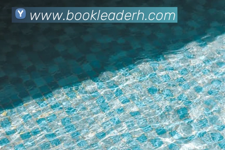 滚球买球的app官网服务体系